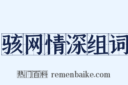 骇网情深组词是什么意思的图片